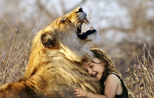 Outcome of loving a lion